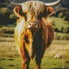 Highland Cow Diamond Painting