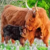 Highland Cow And Baby Diamond Painting