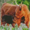 Highland Cow And Baby Diamond Painting