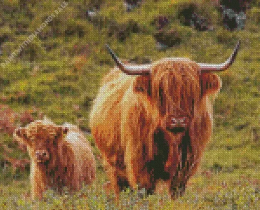 Highland Cow And Calf Diamond Painting