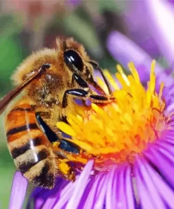 Honeybee Close Up Diamond Painting