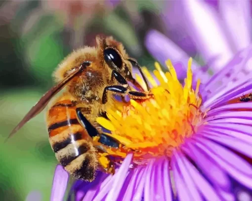 Honeybee Close Up Diamond Painting