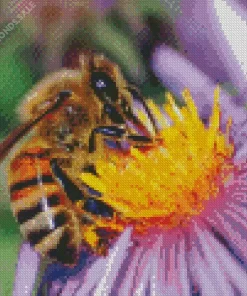 Honeybee Close Up Diamond Painting