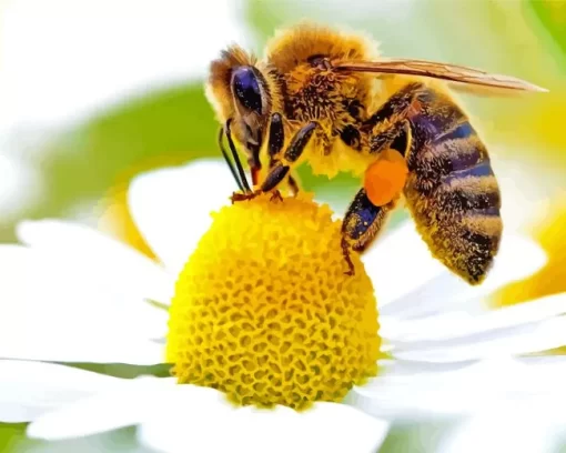 Honeybees And Daisy Flower Diamond Painting