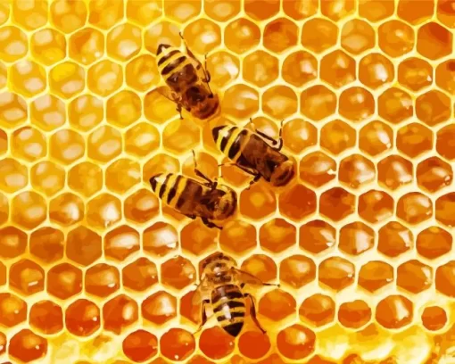 Honeybees Beehive Diamond Painting