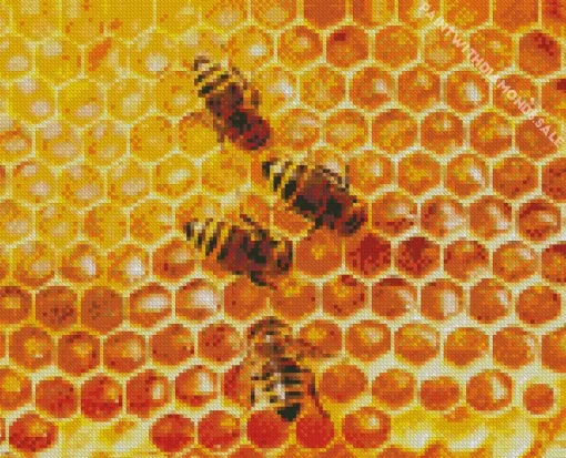 Honeybees Beehive Diamond Painting