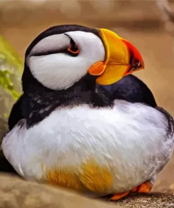 Horned Puffin Diamond Painting