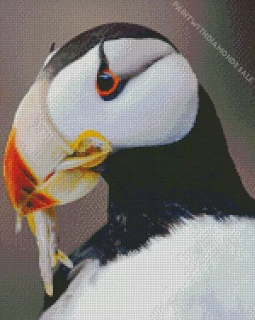 Horned Puffin Close Up Diamond Painting