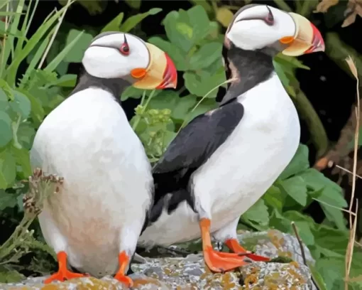 Horned Puffin Pair Diamond Painting