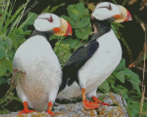 Horned Puffin Pair Diamond Painting