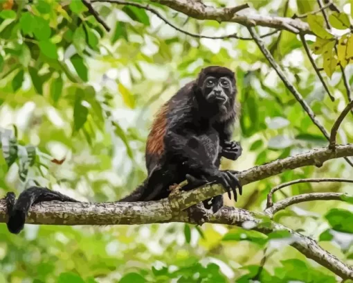 Howler Monkey Diamond Painting