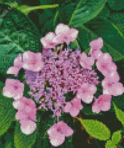 Hydrangea Serrata Diamond Painting