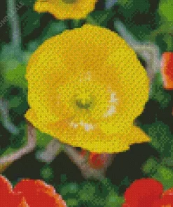 Iceland Poppies Diamond Painting