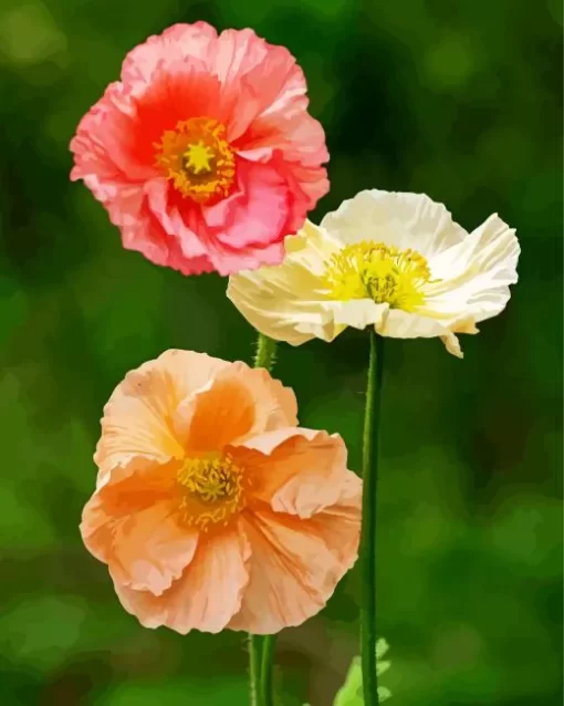 Iceland Poppy Diamond Painting