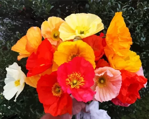 Iceland Poppy Bouquet Diamond Painting