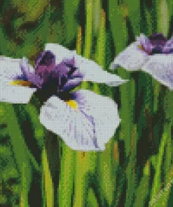 Iris Ensata Diamond Painting