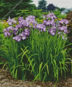 Iris Ensata Lion King Diamond Painting