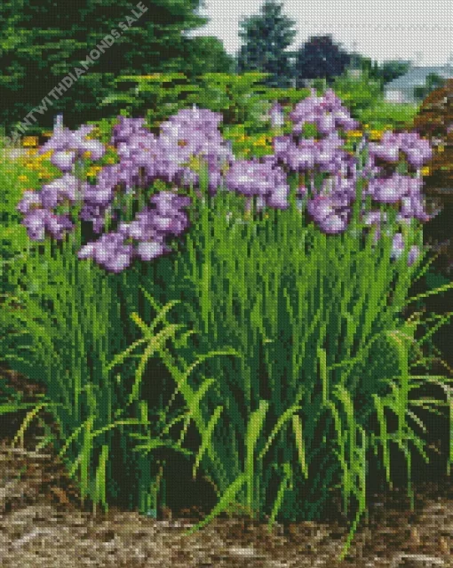 Iris Ensata Lion King Diamond Painting