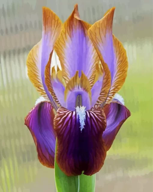 Iris Stolonifera Diamond Painting