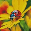 Ladybug In Garden Diamond Painting