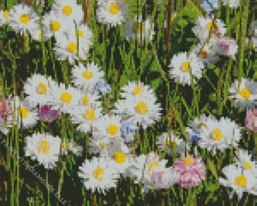 Lawn Daisy Diamond Painting