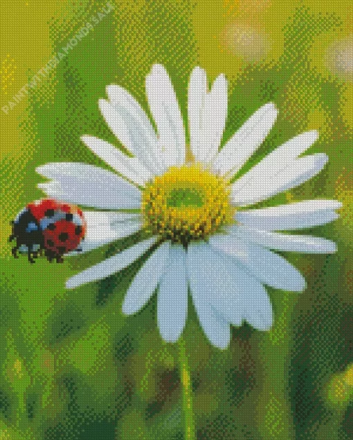 Lawn Daisy And Ladybug Diamond Painting