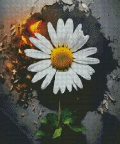 Lawn Daisy Flower Diamond Painting