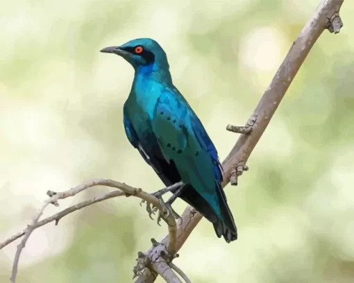 Lesser Blue Eared Starling Diamond Painting