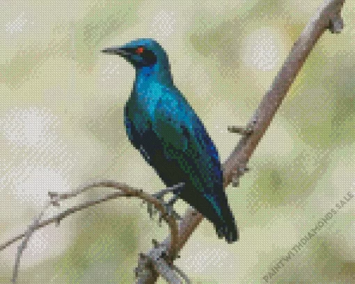 Lesser Blue Eared Starling Diamond Painting