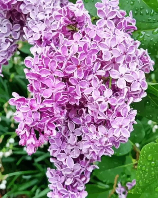 Lilacs Diamond Painting