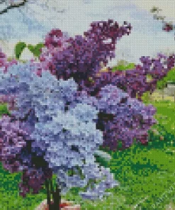 Lilacs Plants Diamond Painting