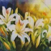 Lilies Art Diamond Painting