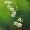 Lily Of The Valley Diamond Painting