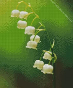 Lily Of The Valley Diamond Painting