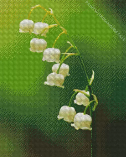 Lily Of The Valley Diamond Painting