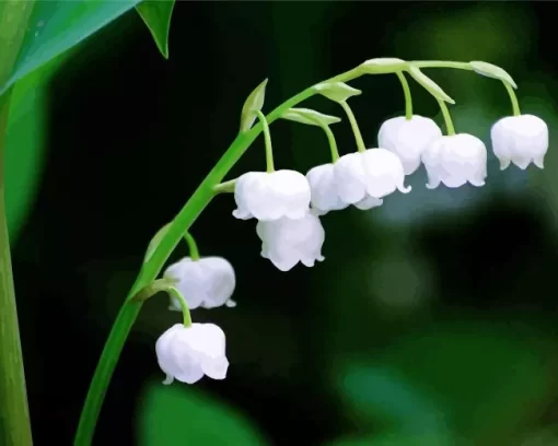 Lily Of The Valley Close Up Diamond Painting