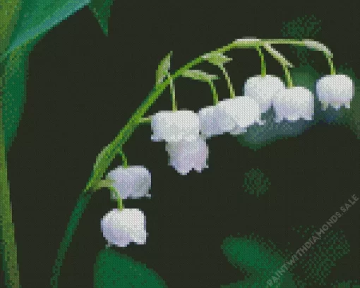 Lily Of The Valley Close Up Diamond Painting