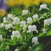 Lily Of The Valley Garden Diamond Painting