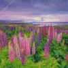 Lupines Field Diamond Painting