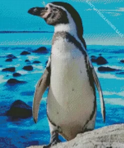 Magellanic Penguins Diamond Painting