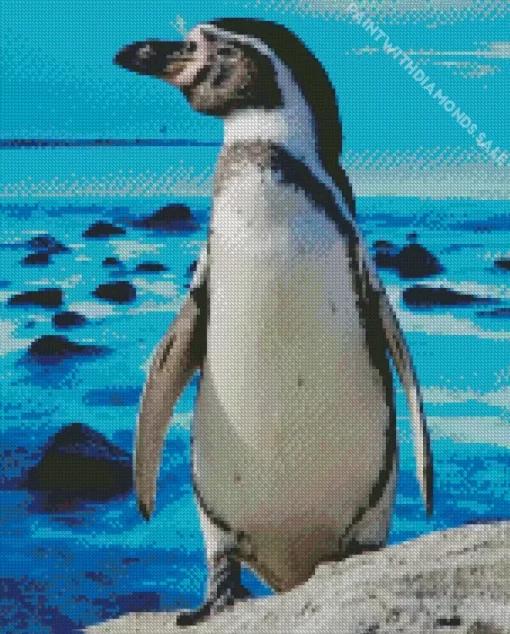 Magellanic Penguins Diamond Painting