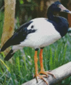 Magpie Geese Diamond Painting