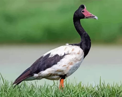 Magpie Geese Bird Diamond Painting