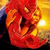 Marvel Spider Man Movie Diamond With Numbers