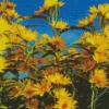 Maximilian Perennial Sunflowers Diamond Painting