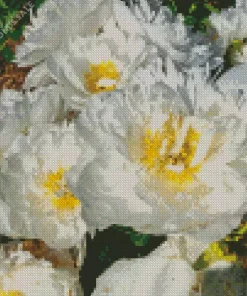 Miss America Peonies Diamond Painting