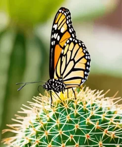 Monarch Butterfly On A Cactus Diamond Painting