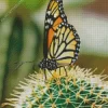 Monarch Butterfly On A Cactus Diamond Painting