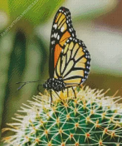 Monarch Butterfly On A Cactus Diamond Painting