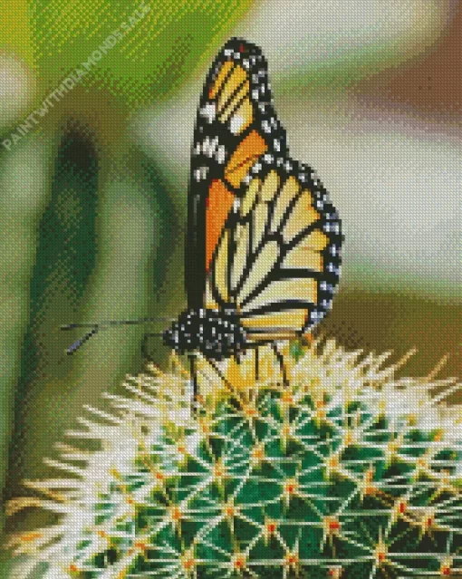 Monarch Butterfly On A Cactus Diamond Painting